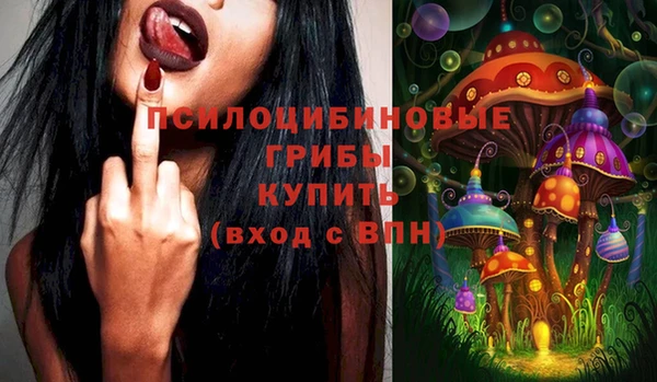 дурь Аркадак
