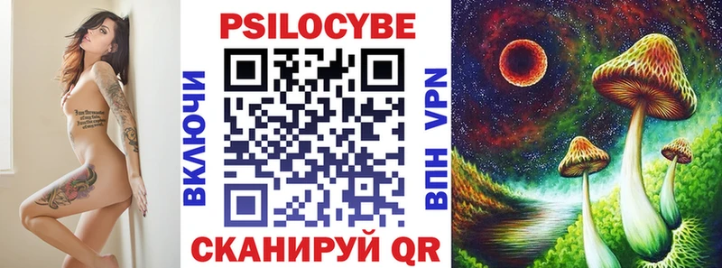 Купить закладки  Мураши  Псилоцибиновые грибы GOLDEN TEACHER 